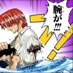 割とマジでシャンクスの喰われた腕に設定後付けしたっぽいけど