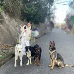 【画像】女の子さん、ボディーガード4人とお散歩