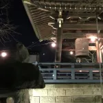 お前らが一緒に年越す相手、書いてけwwwwwwwwwwwwwwwwwwwwwwwwwwwwwwwwwwwwwwwwwwwwwwwwwwww