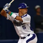 野球選手で30超えてから覚醒して大活躍した野手ゼロ