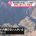 「動物に食べられ内臓のない人がいる」林道に1人の遺体 東京・奥多摩町