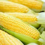 「とうもろこし」って過小評価やないか？