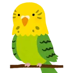 【悲報】インコの淫行、エロい