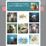 【悲報】写真選んでロボットの認証するやつ、むず過ぎるｗｗｗｗｗｗｗｗｗｗｗｗ