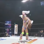 【動画】フワちゃん、ガチでプロレスラーとして頑張ってる模様