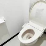 【朗報】ローソン公式見解「買い物しないでトイレだけ使用OK。当社は『コンビニトイレは社会インフラ』と認識」