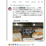 【悲報】芸人のやす子さん、なぜか叩かれ始める