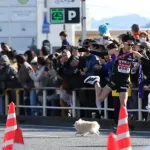 【画像】箱根駅伝に犬が乱入