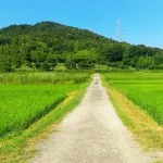 都会と田舎の違い