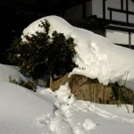 雪国の人って洗濯物どこに干してんの？