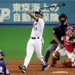 タフィーローズ←こいつのNPB13年の成績
