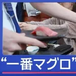 【悲報】一番マグロ5億円　二番マグロ275万円