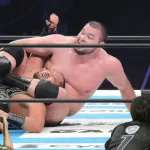 先日のウルフアロンデビュー戦・棚橋弘至引退試合でプロレスに興味出た奴ｗｗｗｗｗｗｗｗ