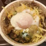 お前らチーズ牛丼の画像貼ってけ