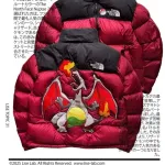 【画像】ノースフェイスとポケモンのコラボ、ダウンジャケット発売ｗｗｗｗｗｗｗｗｗｗｗ