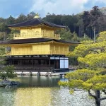 室町時代の平均寿命は17歳