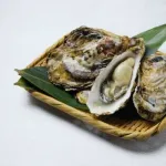 牡蠣(おいしいです、海のミルクです、プリプリです)←この貝