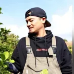 元カープ戸田のレモンが初収穫される見込み。予定は今年の10月「待ってくれている人に届けたい」