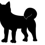 日本で「野良犬」を一切見かけなかった理由w