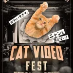 ネコ動画を映画館で楽しむ祭典「CatVideoFest」日本での初公開が決定