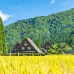 【朗報】田舎暮らし(楽しいです、自然豊かです、物価安いです、人が優しいです) ←これｗｗｗｗｗ