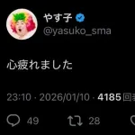 【悲報】やす子「心疲れました」