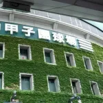 阪神・甲子園がチケット難も《外国人専用席》増設へ　虎ファン「終わってる」と大激怒！