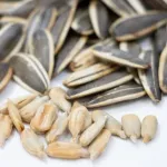 メジャーではひまわりの種食べてる人多いけど日本では全然見ないのなんでなんやろね