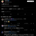 【悲報】やす子、お前らが叩きまくるせいで憔悴。「心疲れました」
