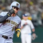 サトテルがWBC選ばれる可能性ってあると思うか？