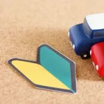 ペーパー「運転は怖いし一生電車とバスでいい」←ほんまにええんか？
