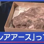 【悲報】日本国民、バカすぎてレアアース問題の深刻さを理解してない