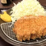 寿司にワサビ←わかる　牛丼に紅生姜←わかる　トンカツにからし←え！？