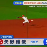 プロ野球選手100人分の1位　守備部門2025