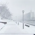 冬のメリットって何もないな
