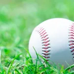 今後のプロ野球選手、NPBで億稼いで知名度上げてポスティングで25歳以上でMLBが最も稼ぐ方法に