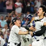 阪神の野手がWBCに選ばれそうな時に限って民放がないのは痛いよな