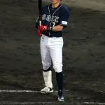 全盛期糸井嘉男(33).331(502-166) 19本 81打点 31盗塁 OPS.948←言うほどすごいか？