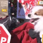 犬飼う子供は幸福度が高いことが科学的に証明wwwwwwwwwwww