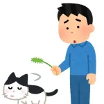 ねことかいう買ってきたおもちゃで全く遊ばない謎の生き物