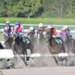 【急募】競馬を辞めるため、日曜に身動きを取れなくする方法ｗｗｗｗｗｗｗｗｗｗｗｗｗｗｗｗ