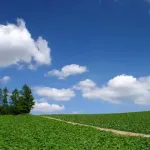 【朗報】ワイさん、老後は北海道に住みたいｗｗｗｗｗｗｗｗｗｗｗｗｗｗｗｗ