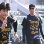 【悲報】阪神ドラ１立石、新人合同自主トレを完全別メニュー