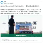 ドミニカでもABS(ロボット審判)の正式導入を決定