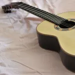 ギターの才能ないのにギター自体は好きだし耳だけは良いから高いの使ってる