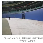 【画像】バンテリンドーム、かなり狭くなりそう