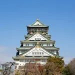 豊臣時代の存続期間（8年）