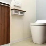 【朗報】国交省女子トイレの混雑解消に本気「これから作る場合は男性器6：女性器10とする」ｗｗｗｗｗｗ