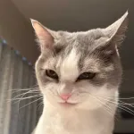 【急募】お前らが人生でした、『1番悪いこと』を挙げてけｗｗｗｗｗｗ