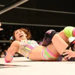 フワちゃん、プロレスデビュー戦に芸能人20人関係者席に招待するもフワの試合が終わったら即18人帰る